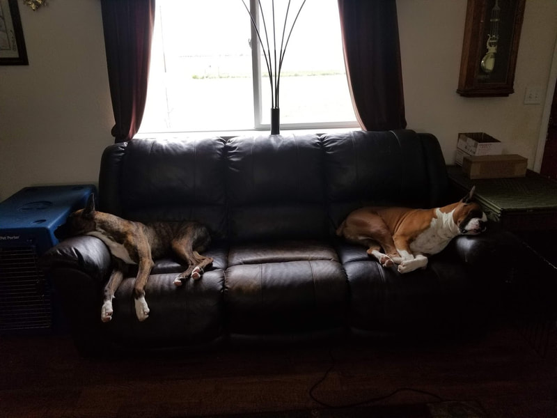 Kody & Grimm: In their favorite spots!